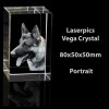 3D Vega Photo Crystal Portrait (80 x 50 x 50mm)