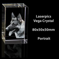 2D Vega Crystal Portrait (80 x 50 x 50mm)